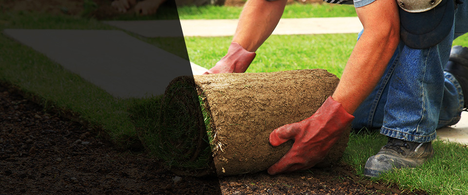 Eastman Landscapers